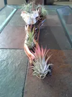 20180520_075701.webp