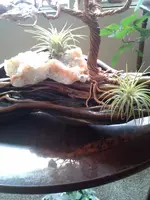 20180520_073906.webp