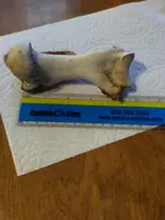 benjamins a beach bone 33.webp