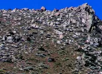 100_0015_Artcrop.webp