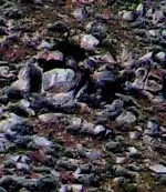 100_0015_Artcrop1.webp