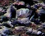 100_0015_Artcrop1B.webp