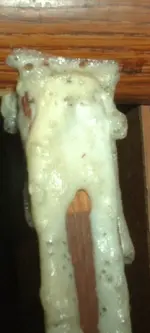 DSCF0003.webp