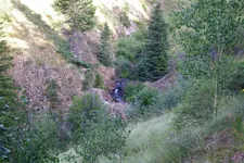 100_1290.webp 100_1290.webp