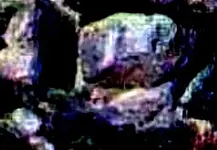 100_0015_Artcrop1C.webp