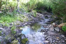 100_1308.webp 100_1308.webp