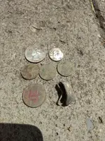 Ruiz Park Finds 7-1-2018.webp