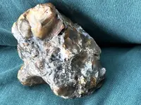 ImageUploadedByTreasureNet.com1527461241.814715.webp