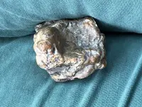 ImageUploadedByTreasureNet.com1527461341.082955.webp
