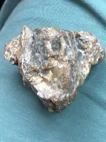 ImageUploadedByTreasureNet.com1527461362.276626.webp