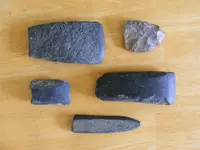DSCF4555.webp