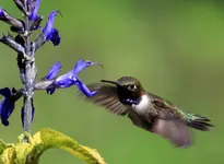 0344444LS.webp