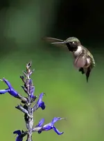 023333.webp
