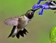 01444.webp