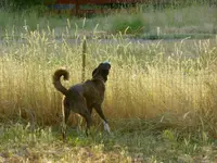 061418 6.webp