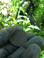 ImageUploadedByTreasureNet.com1526924584.624834.webp