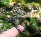Silver-Ring-Dock.webp Silver-Ring-Dock.webp
