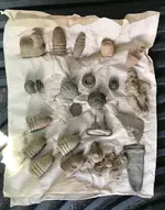ImageUploadedByTreasureNet.com1529722448.289448.webp ImageUploadedByTreasureNet.com1529722448.289448.webp