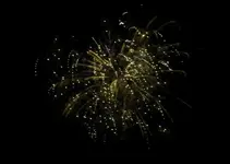 DSCN5249.webp