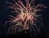 DSCN5156.webp