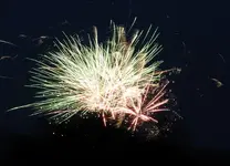 DSCN5157.webp