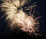 DSCN5159.webp