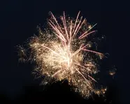 DSCN5160.webp