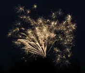 DSCN5161.webp