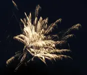 DSCN5162.webp