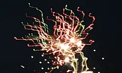 DSCN5163.webp