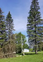 20180521_143415.webp