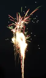 DSCN5164.webp