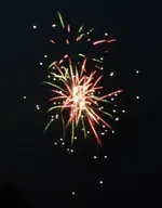 DSCN5165.webp