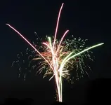 DSCN5175.webp