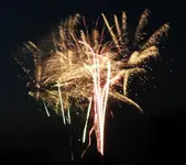 DSCN5176.webp