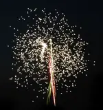 DSCN5179.webp
