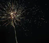DSCN5185.webp