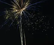 DSCN5188.webp