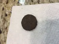 penny.webp