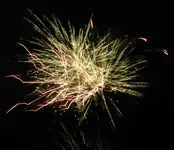 DSCN5192.webp