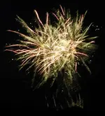 DSCN5193.webp