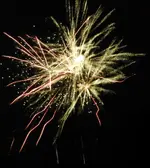 DSCN5194.webp