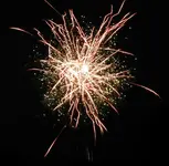 DSCN5195.webp