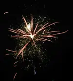 DSCN5196.webp