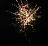 DSCN5197.webp