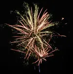 DSCN5198.webp