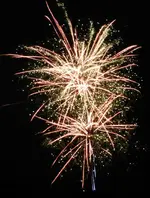 DSCN5199.webp