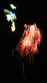 DSCN5200.webp