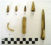 Albee phase bone tools and flintknapping punch.webp
