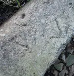 100_1338.webp